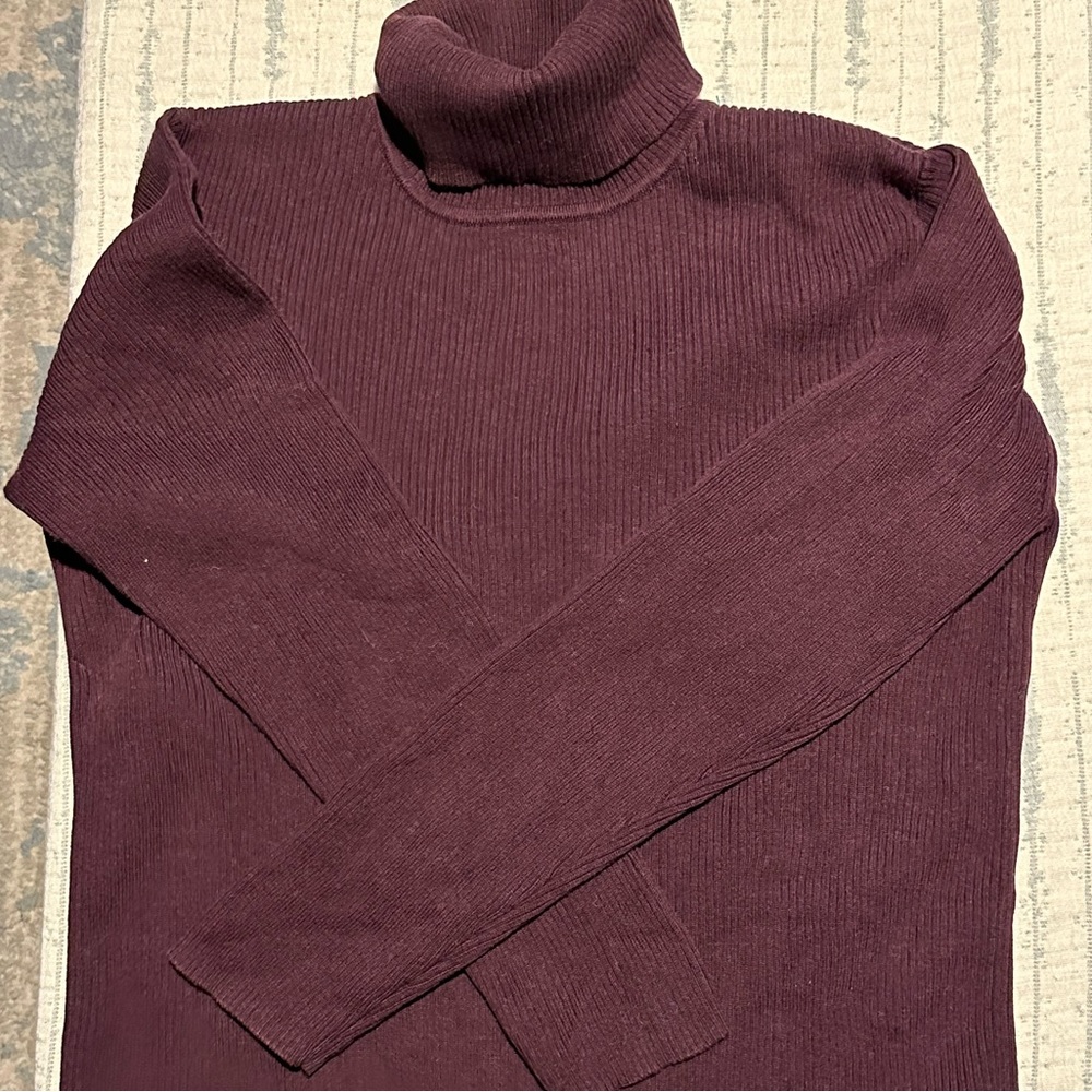 Pendleton turtleneck